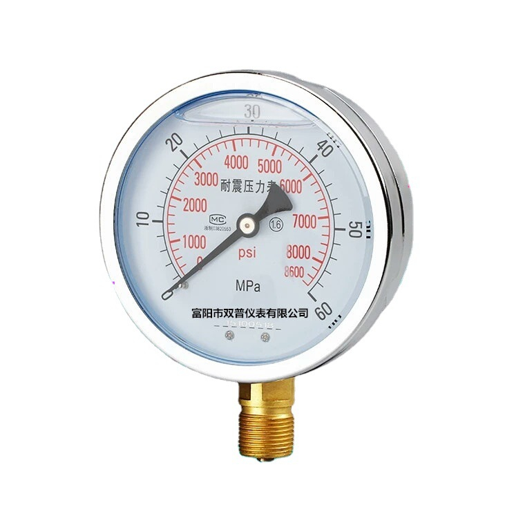 YN100径向耐震压力表 抗震油压/液压/气压/水压标准螺纹M20*1.5