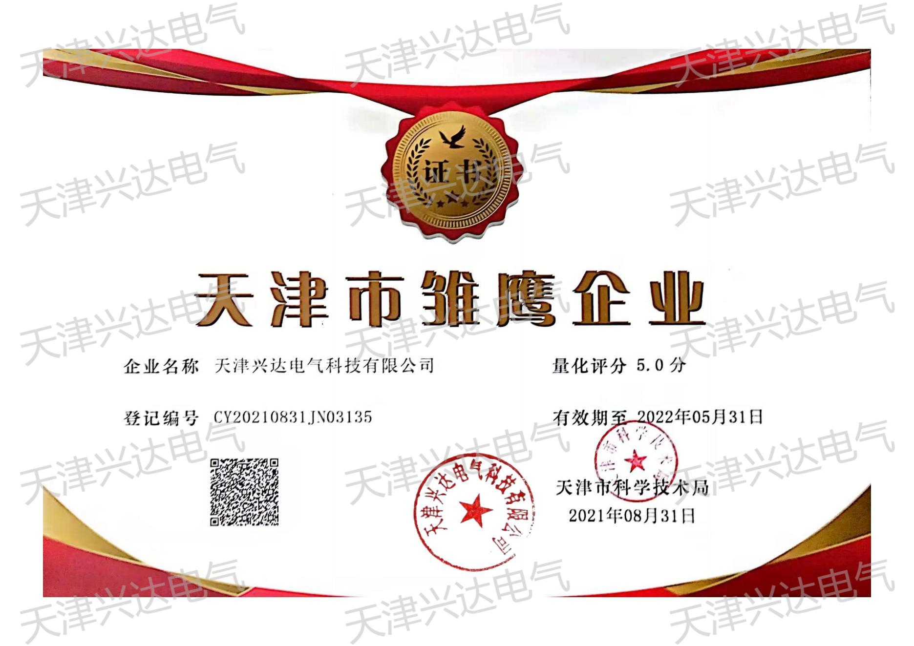 雏鹰证书